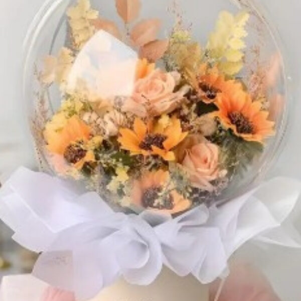 BOBO BALON EĞİTİMİ